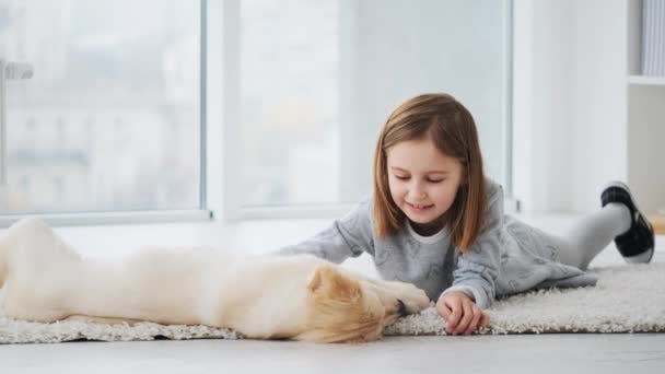 Chica jugando con cachorro — Vídeo de stock