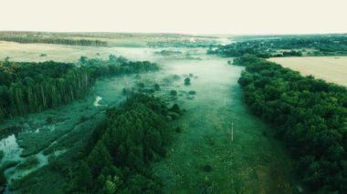 Sisli tarlada ağaçlar