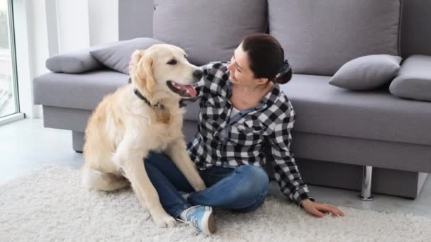 Beautiful woman petting cute dog — Stock Video