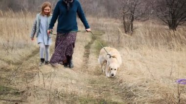 Baharın erken saatlerinde yürüyüşe çıkan köpek.