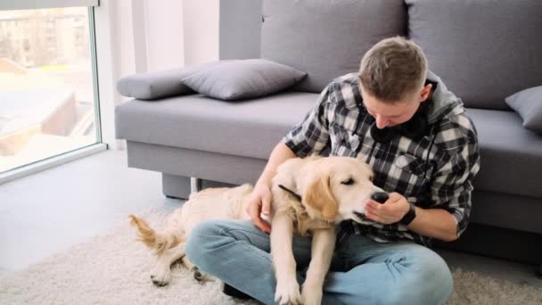 Vrolijke man aan het dollen met actieve hond — Stockvideo