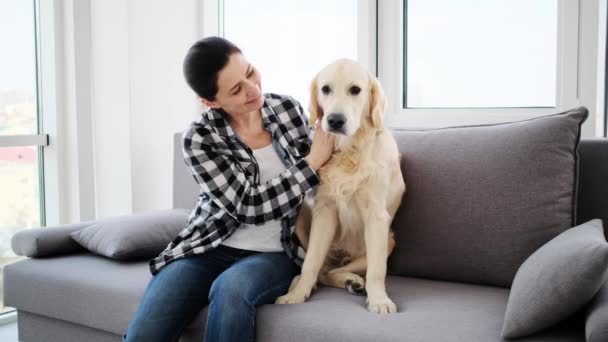 Mujer sonriente palming hermoso perro — Vídeos de Stock