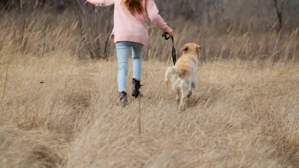 Meisje loopt met hond op de natuur — Stockvideo