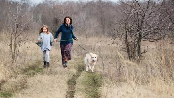 Courir avec un chien mignon dans la nature — Video