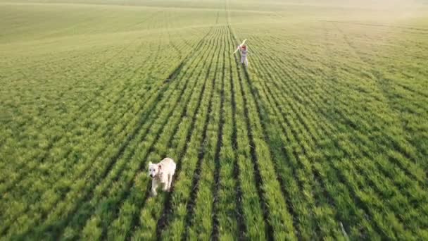 Mädchen mit süßem Hund fliegt Drachen — Stockvideo