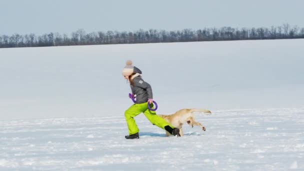 Pige med hund i snedækket felt – Stock-video