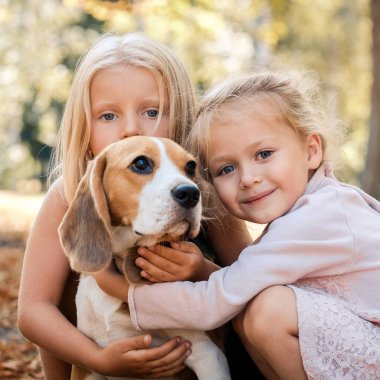 Köpekli dikkatli arkadaşlar.