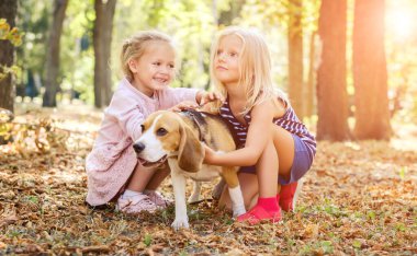 Köpekle oynayan tatlı kızlar.
