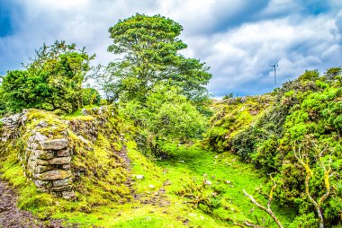 Bodmin Moor, Cornwall 'daki bir vadiye giden patika.