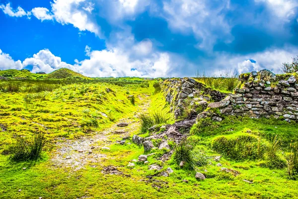 Footpath running next to a wall across Bodmin Moor — Stock Photo, Image