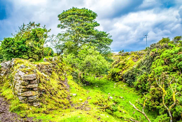 Footpath leading through into a gulley on Bodmin Moor, Cornwall — Stock Photo, Image