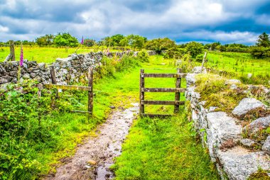 patika bir geçitten bodmin moor önde gelen.