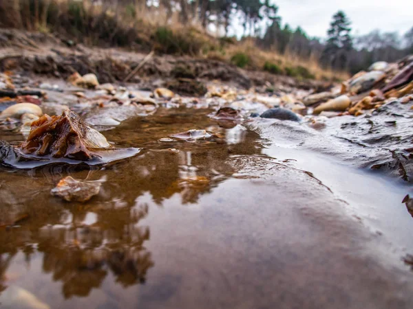 Tiefer Blick auf Pfützenwasser in Rinne mit Steinen — Stockfoto