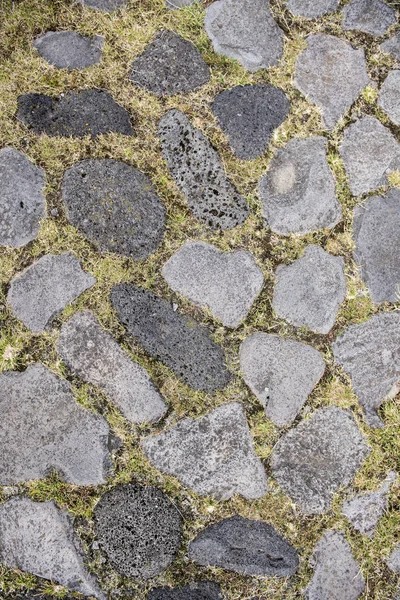 Rock and grass texture — Stock Photo, Image