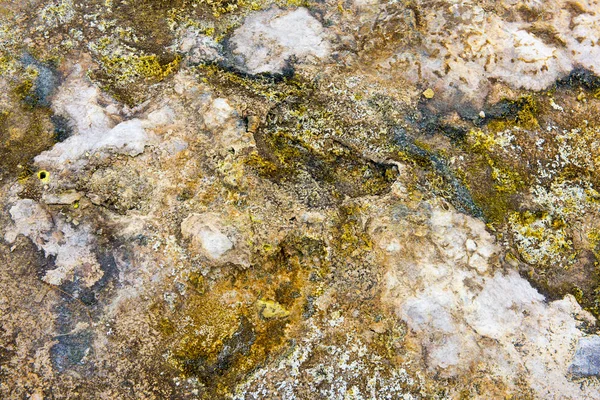 Textura de lama rachada de gás geotérmico no chão — Fotografia de Stock