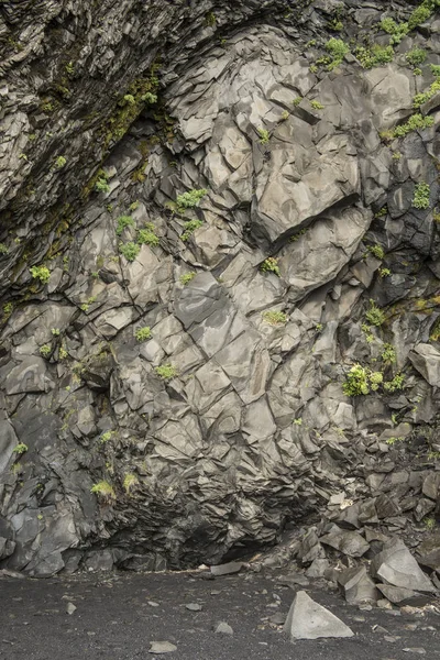 Texture des colonnes basaltiques — Photo