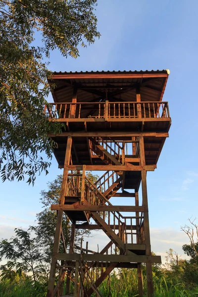 The observatory in the forest — Stock Photo, Image