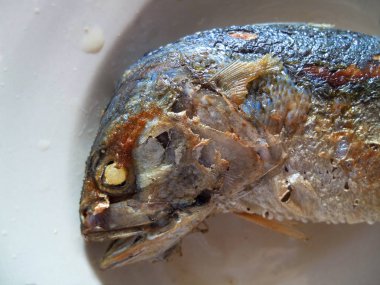 Uskumru Fried, çanak üzerinde iştah açıcı bak