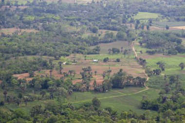 Tayland Nakhon Ratchasima ili kırsal
