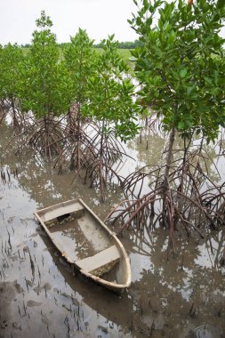 eski bir tekne 