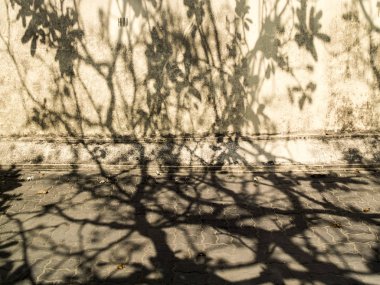 Eski duvarlar arka plan görüntüsü