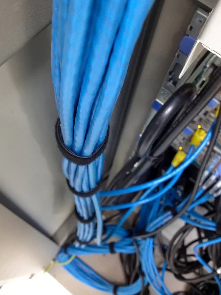 Le câble LAN — Photo