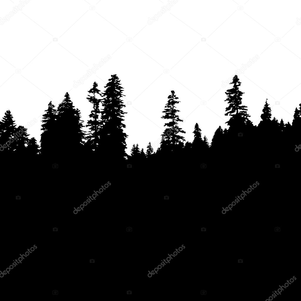 Panoramic view of the forest. Tree Silhouette