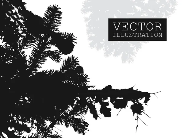 Spruce branch silhouette vector — Stock Vector