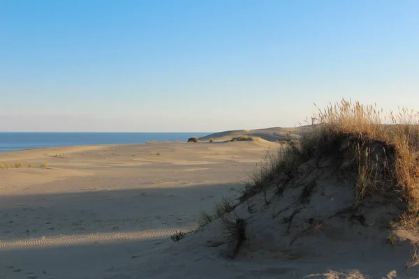 Landscape on the beautiful Baltic Sea coast sand dunes — Stock Photo, Image