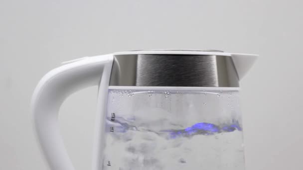 水在带有气泡的电水壶中沸腾 特写镜头 水壶装有Led背光 — 图库视频影像