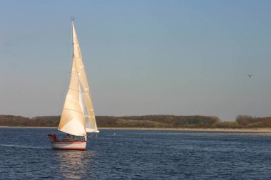 yelkenli tekne Almanya