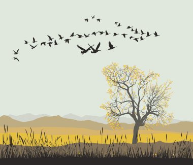 Autumn migration of wild geese clipart