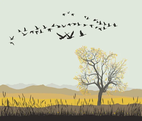 Autumn migration of wild geese — Stock Vector