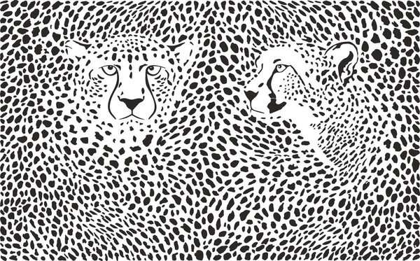 Cheetahs background with heads — Stock Vector