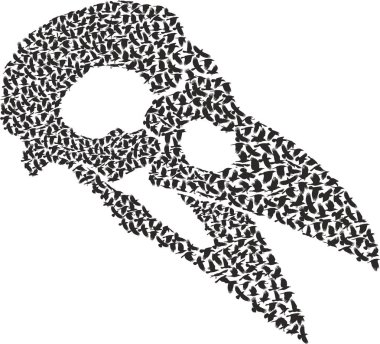 Kafatası ile kargalar