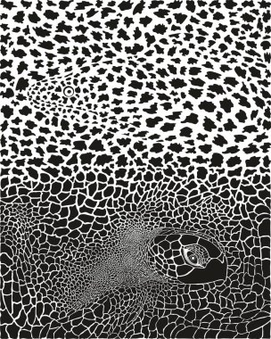 Beyaz arka planda Murena ve Kareta 'nın vektör illüstrasyonu