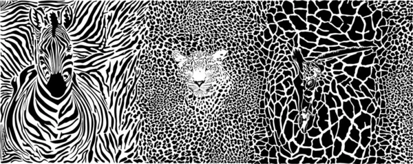 Illustration Motif Fond Fond Avec Zèbre Léopard Girafe — Image vectorielle