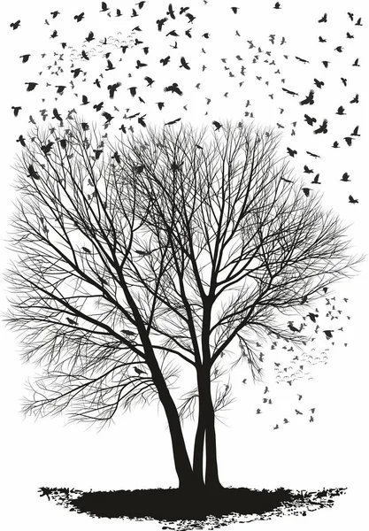 Vectorillustratie Van Een Kudde Raven Populierenboom Drie Bomen — Stockvector