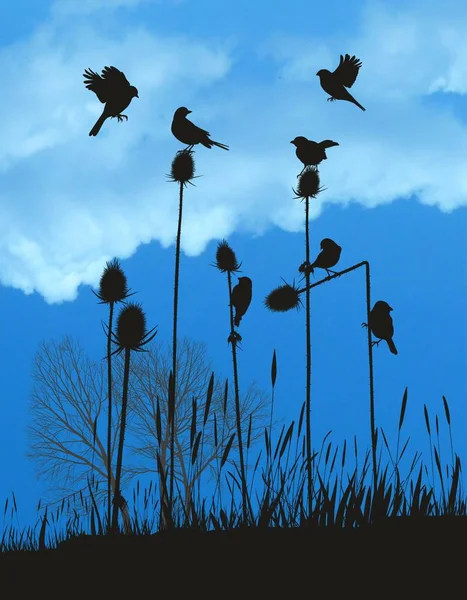 Vektorová Ilustrace Drobní Ptáčci Bodláčí Podzim — Stockový vektor