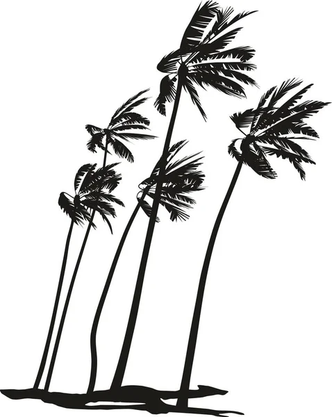 Black White Vector Illustration Five Palms Trees — Stock Vector