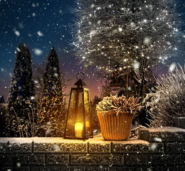 Erster Schneefall im Wintergarten — Stockfoto