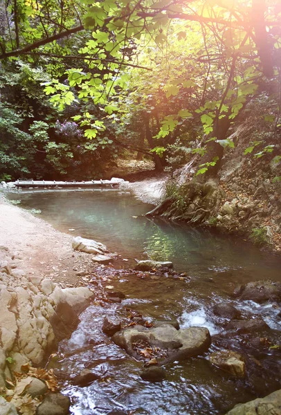 Lumière du soleil sur un ruisseau tranquille — Photo