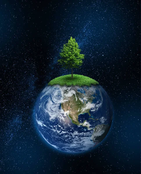 Lone Δέντρο Αυξάνεται Στον Πλανήτη Έννοια Της Κλιματικής Αλλαγής Του — Φωτογραφία Αρχείου