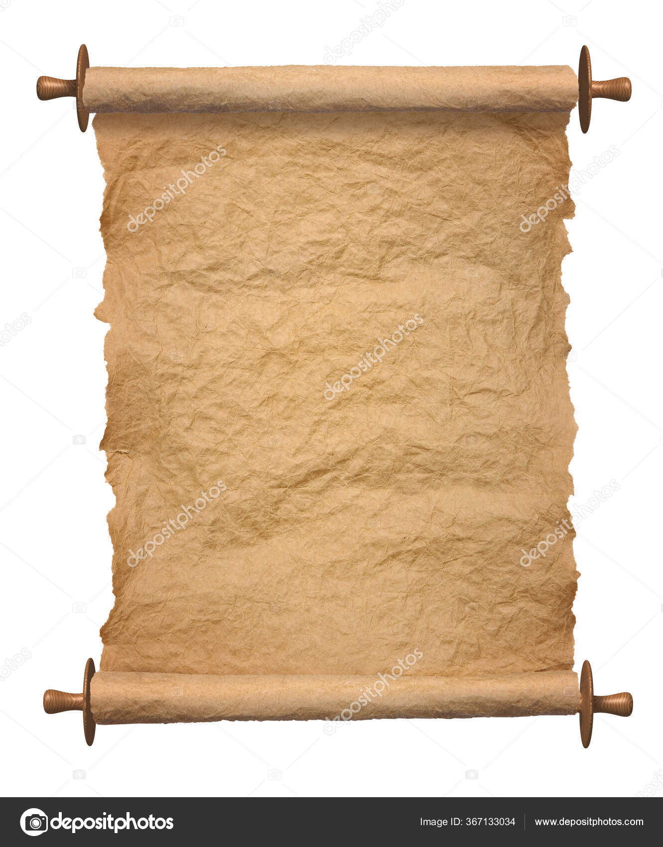 Old Rolled Blank Parchment Paper Roll Vertical White Background