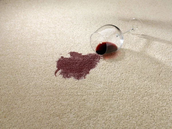 카펫에 유출된 와인 로열티 프리 스톡 사진