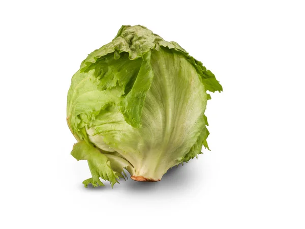 Bio-Eisbergsalat — Stockfoto