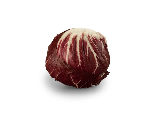 Biologische Radicchio Sla — Stockfoto