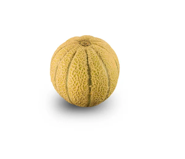 Biologische Cantaloupe meloen — Stockfoto