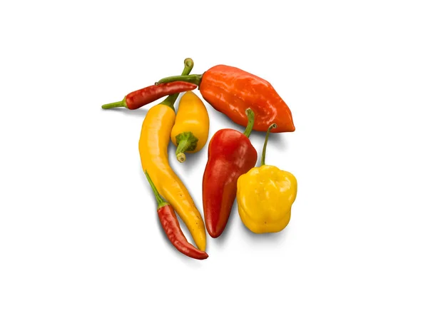 Bio-Chilischoten — Stockfoto