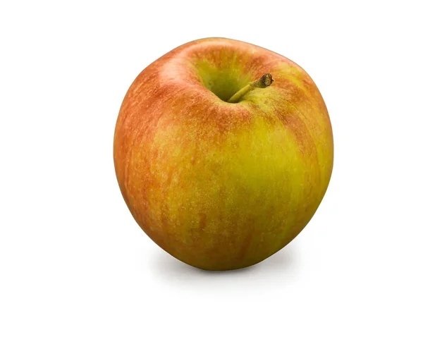 Βιολογικό Μήλο Braeburn — Φωτογραφία Αρχείου